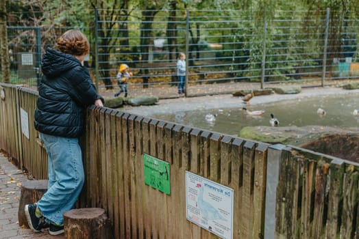 Teenader girl in the zoo. Girl watches in a zoo or nature park reserve.