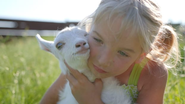 A six-year-old girl in a meadow gently hugs a small white goat