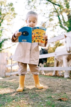 Little girl reading a picture book to a pony standing behind a fence at a ranch. High quality photo