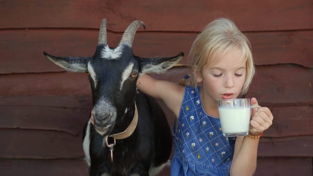 The girl drinks goat milk from a mug and hugs her beloved goat