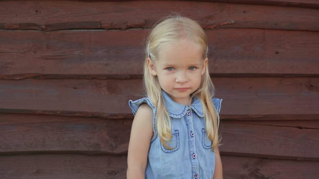 Portrait of a Slavic two-year-old girl in the village