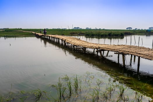 bamboo bridge over the river, Bangladesh