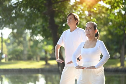 Peaceful Asian senior couple practicing Tai Chi in the morning with sunrise. Health care and wellbeing concept
