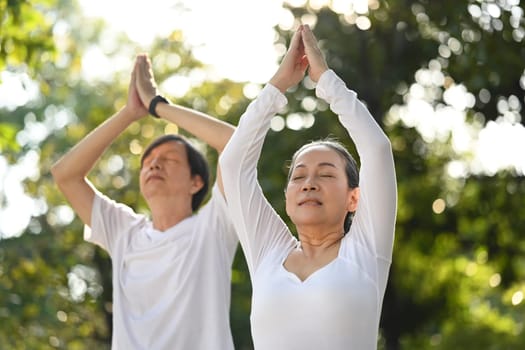 Calm middle age couple practicing yoga and sitting with hands up in the park. Healthy lifestyle concept