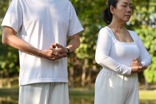Retired couple in white clothing practicing Tai Chi in the park. Health care and wellbeing concept