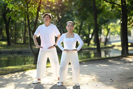 Full length active middle age couple doing Qi Gong or Tai Chi exercise in the park
