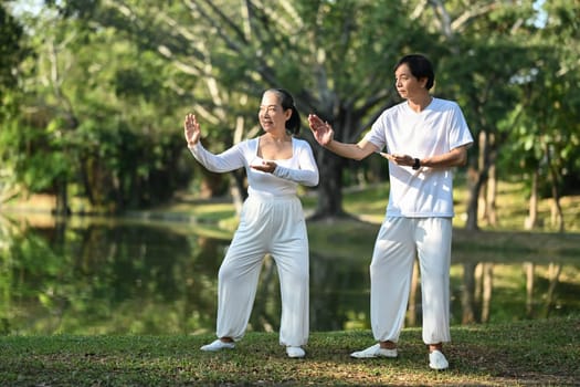 Full length Asian senior couple doing Tai Chi exercises in the park. Mental health and retired lifestyle concept