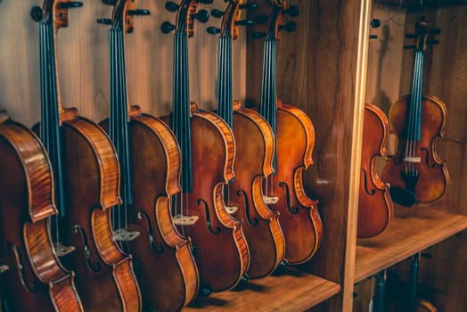 Violins are lined on shelve