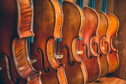 Violins are lined on shelve