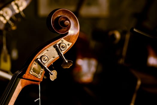 Photo of violin close-up. Close-up of cello strings, classical music concept.