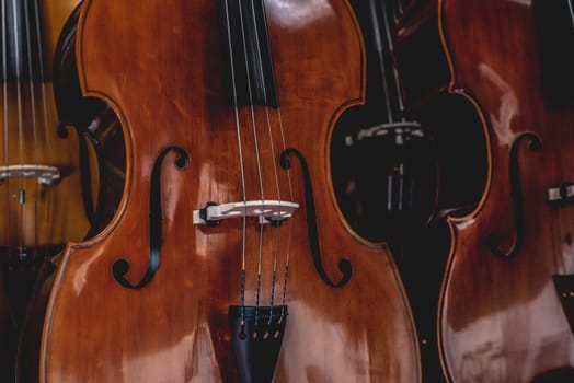 Violins are hanging in retail store to sell