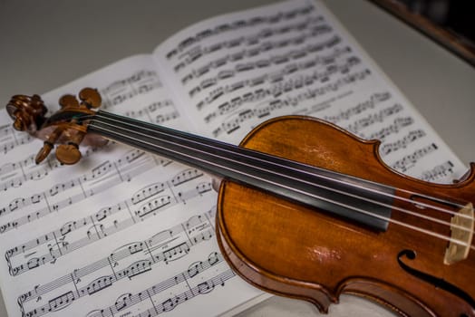 Beautiful violin and note sheets on table