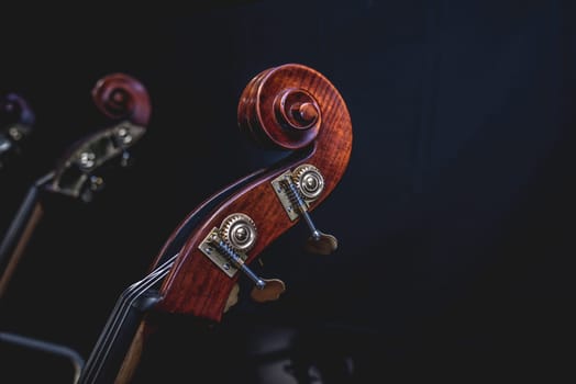 Vintage brown double bass neck, double bass scroll and tuning pegs