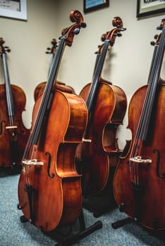 closeup of row of double basses