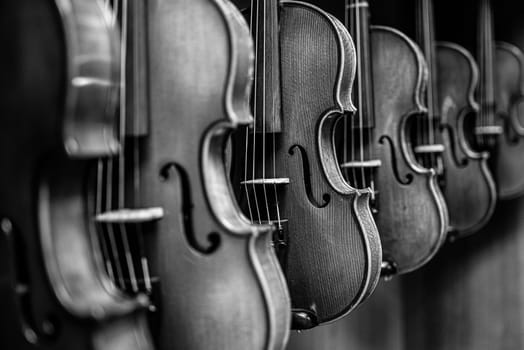 black and white picture of multiple violins hanging on the wall