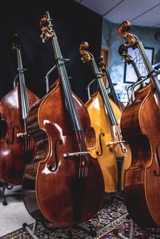 closeup of row of double basses