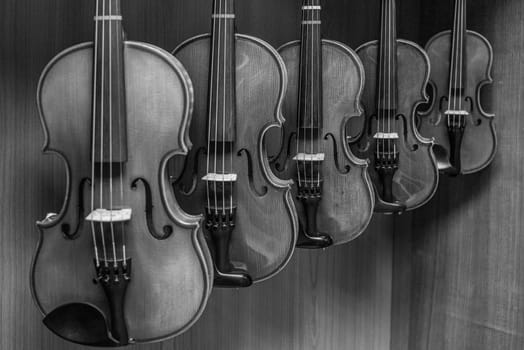 black and white picture of multiple violins hanging on the wall