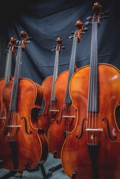 closeup of row of cellos resting against