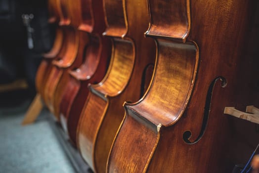 Row of multiple cellos standing on the floor