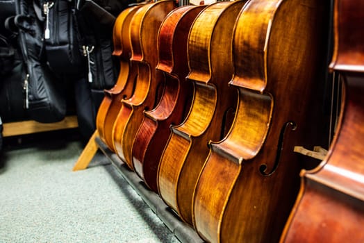 Row of multiple cellos standing on the floor