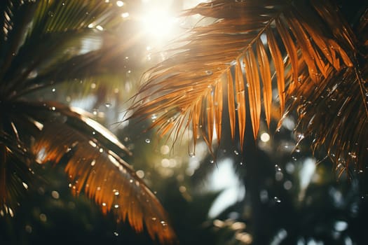 Sunlight breaks through palm leaves in raindrops.