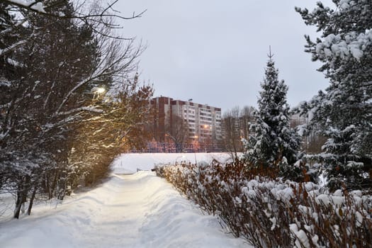 Snow-covered alley in winter park in Moscow, Russia