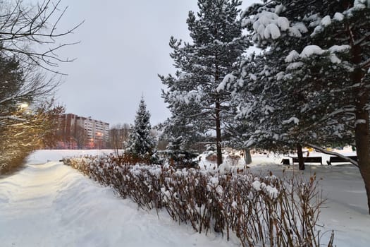 Snow-covered alley in winter park in Moscow, Russia