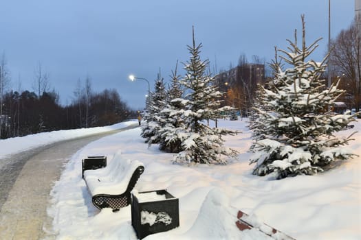 Snow-covered alley in winter park in Moscow, Russia