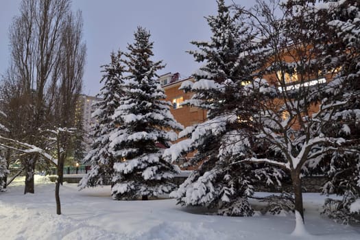 Moscow, Russia - DEC 4. 2023. The Winter evening landscape