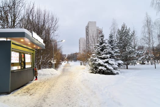 Moscow, Russia - DEC 4. 2023. The Winter evening landscape