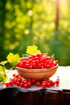 red currant berries in a bowl against the backdrop of the garden. Selective focus. Food.