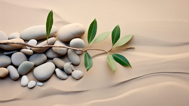 Smooth stones and spa plant. Selective focus. Nature.