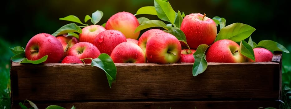 Apple harvest in a box in the garden. Selective focus. Food.