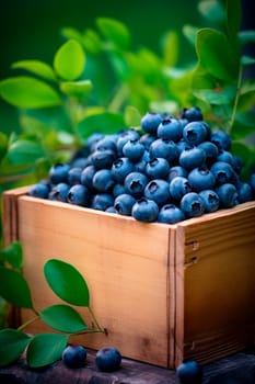 Blueberry harvest in a box in the garden. Selective focus. Food.