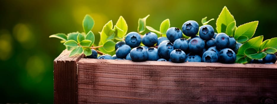 Blueberry harvest in a box in the garden. Selective focus. Food.