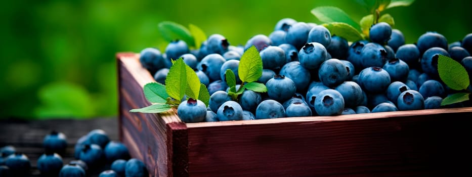 Blueberry harvest in a box in the garden. Selective focus. Food.