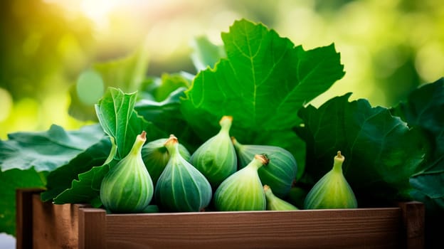 Harvest of figs in a box in the garden. Selective focus. Food.