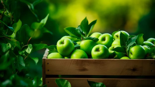 Harvest of green apples in a box in the garden. Selective focus. Food.