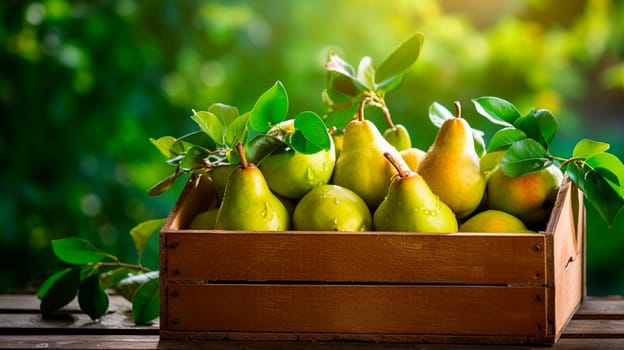 Pear harvest in a box in the garden. Selective focus. Food.