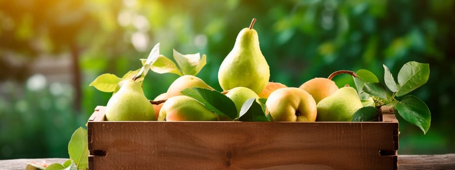 Pear harvest in a box in the garden. Selective focus. Food.