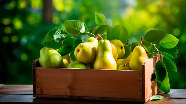 Pear harvest in a box in the garden. Selective focus. Food.