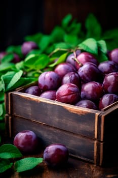 Plum harvest in a box in the garden. Selective focus. Food.