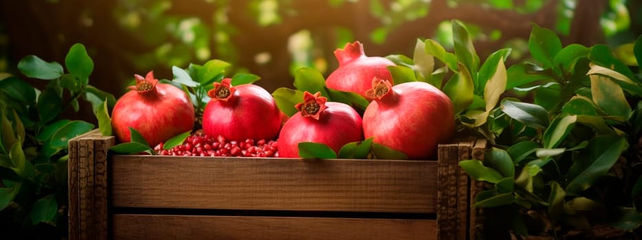 Pomegranate harvest in a box in the garden. Selective focus. Food.