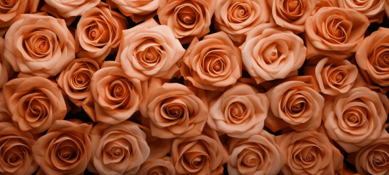 Natural peach fuzz roses background. Background template for banner or greeting card.