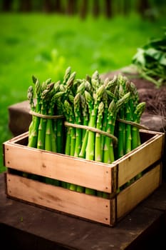 asparagus harvest in a box in the garden. Selective focus. food.