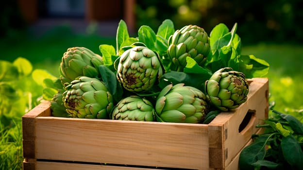 artichoke harvest in a box in the garden. Selective focus. food.