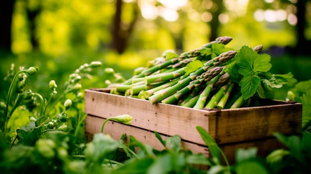 asparagus harvest in a box in the garden. Selective focus. food.