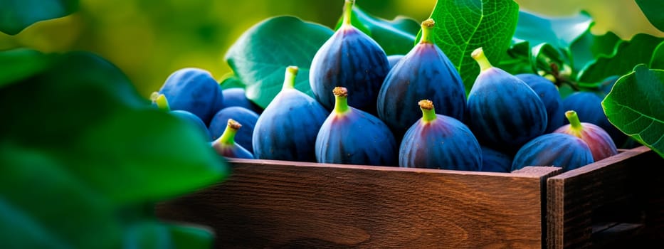 figs in a box in the garden. Selective focus. food.