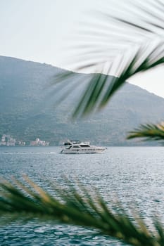 View through palm branches to a motor yacht sailing on the sea. High quality photo