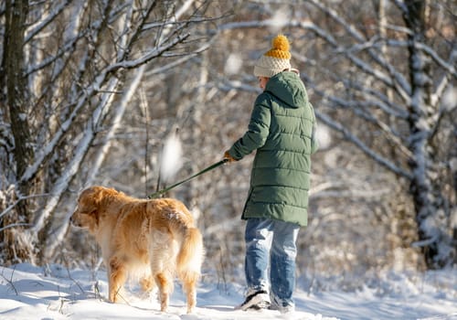 Girl Strolls With Golden Retriever In Winter Forest, View From Back, Walking With Dog Through Snow-Covered Woods